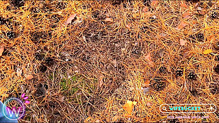 Wifebucket Amateurs - a Forest Blowjob From My Cute Redhead GF