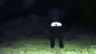 In the Dark, He Touches and Slaps My Bum