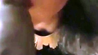 Street Blowjob by Amateur Couple
