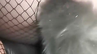 Hot Tied up Maid with Fox Tail Plug Rides Dildo - Joyliii