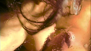 The Hairy-pussy Witch Gets Pounded by Two Cocks