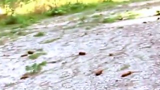 Thick German Amateurs Threesome Outdoor Adventure