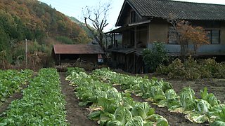 x3x335D392518690C449A