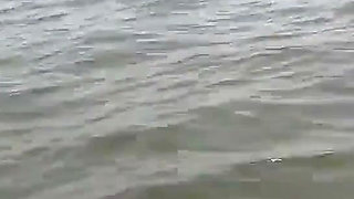 A Journey Through the Sea