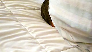 Wife dominates tiny dick husband BDSM