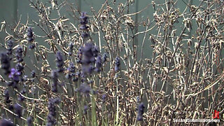 Mark Davis and Jade Marxxx