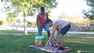 Gay Picnic in the Park