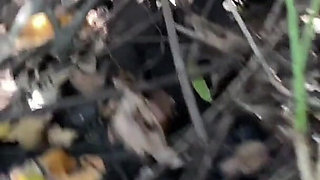 Sex in Public - Creampie