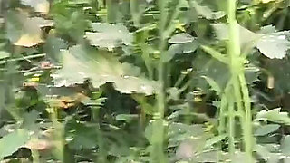 Once Again the Brother-in-law Fucked the New Sister-in-law in the Mustard Field.outdoor Sex