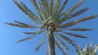 Outdoor, pool fuck for the young -titted Russian teen