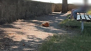 City Tour Gone Wild - Risky Handjob, Blowjob and Doggy - Almost Caught!