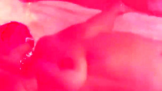 Twisted Nymphs - Rose's Reward - Part 2