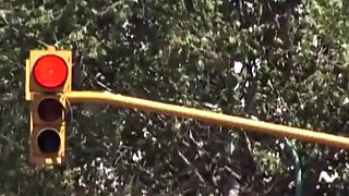 My fuckslut of a wife cheats on me with a petite fellow! vol. 10