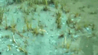 Check Out My Cute Tanned Feet