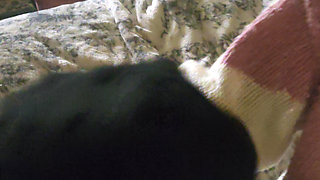 Goode Girl Nylonplay with Hubby's Cock and Balls