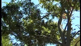 Romantic sex outdoor