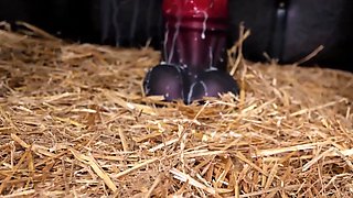 Sexy Blonde Slut's Roughest 2025 Compilation