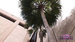 DreamGirls Members - hd porn