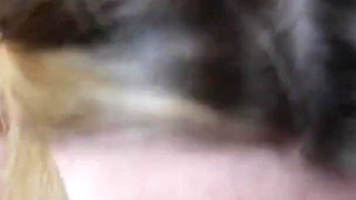 Ailee Anne Bikini Blowjobs