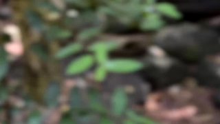 A Real Australian Experience With Aussie Hottie Jade Harper