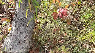 Perfect Body Tiny Petite Hana