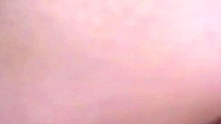 Legacy Collection Part Iv: the Legacy of Your Self Destruction