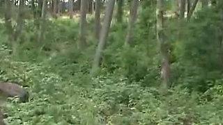 Sado Maso Fantasies Unleashed in Tight Restraints