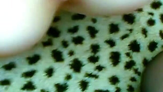 POV lesbian fucks skinny teen Welli and Daria with strapon to orgasm