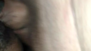 the bull fucking my wife's pussy.