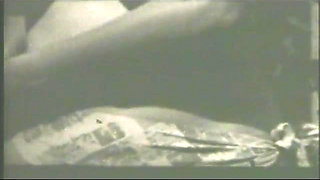 Old vintage big boobs chicks