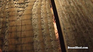 Watch adroit puss's video