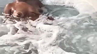 I Got a Whirlpool with the Hottie