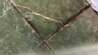 Porn latex movie with foot fetish and blonde mistress