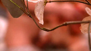 Hot Neighbors in Hot Tub