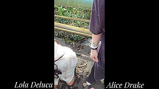 Sex in the Forest with Drake