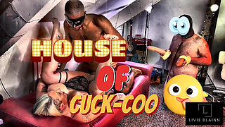 House of Cuckoo