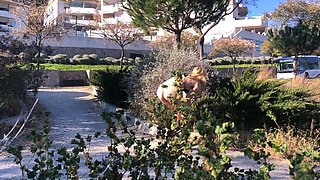 Close up blonde fucked and fingered in her pussy