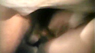 Hamlet (italy 1995) - Maeva Dream